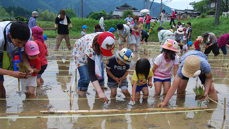 農業体験イベント