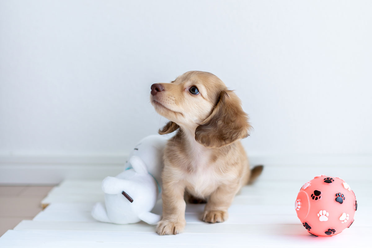 自然素材でやさしい住まい